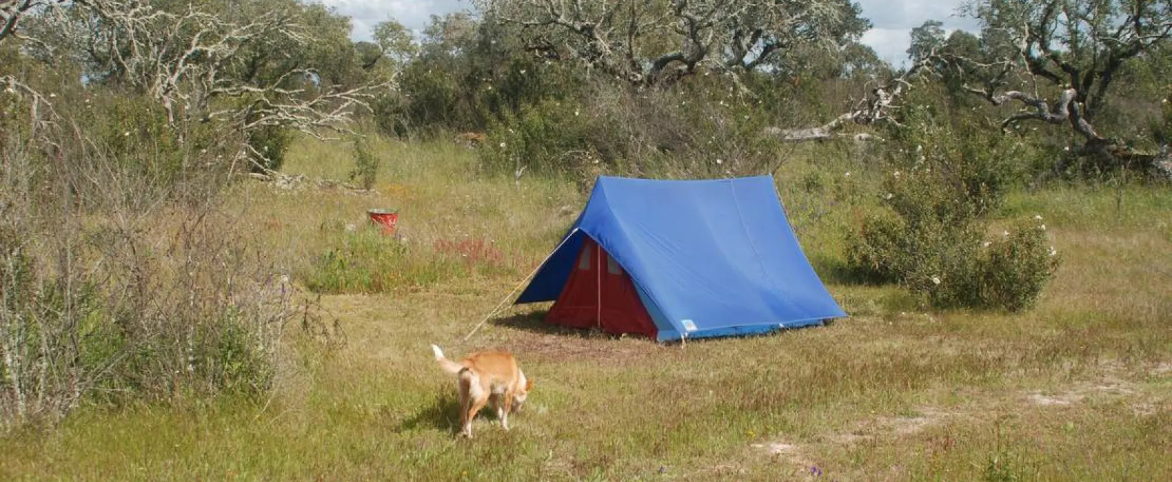 Bubulcus & Bolotas Camping