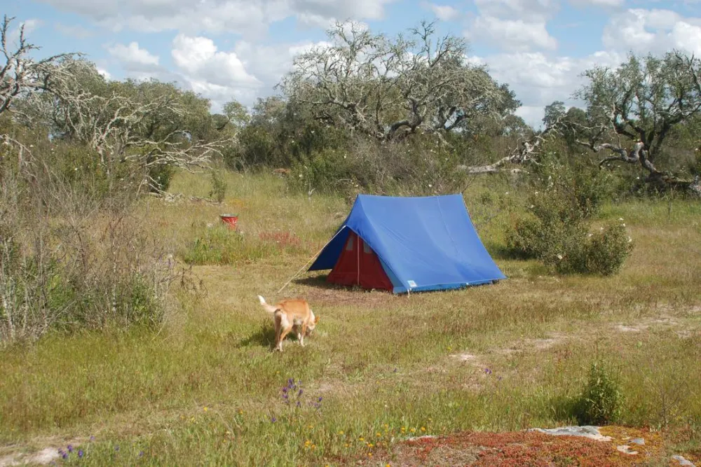 Bubulcus & Bolotas Camping