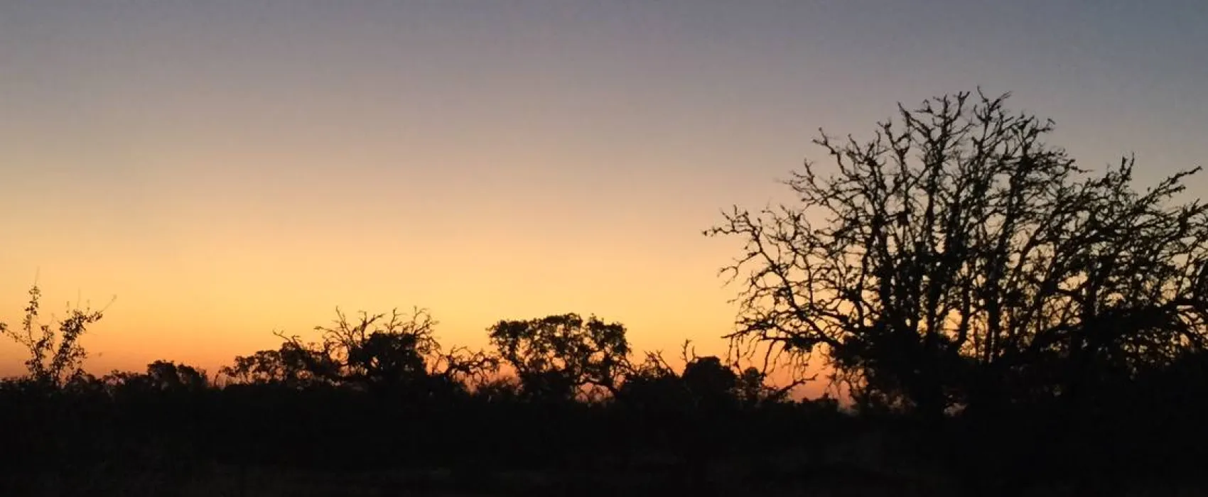 Bubulcus & Bolotas Camping