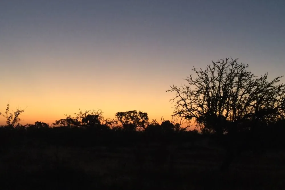 Bubulcus & Bolotas Camping