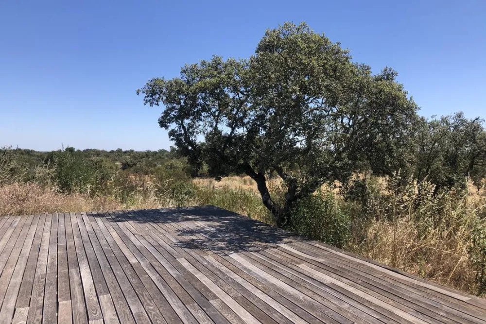 Bubulcus & Bolotas Camping