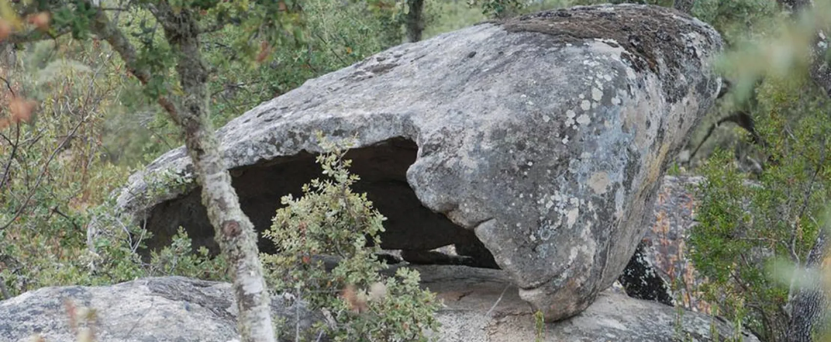 Bubulcus & Bolotas Camping