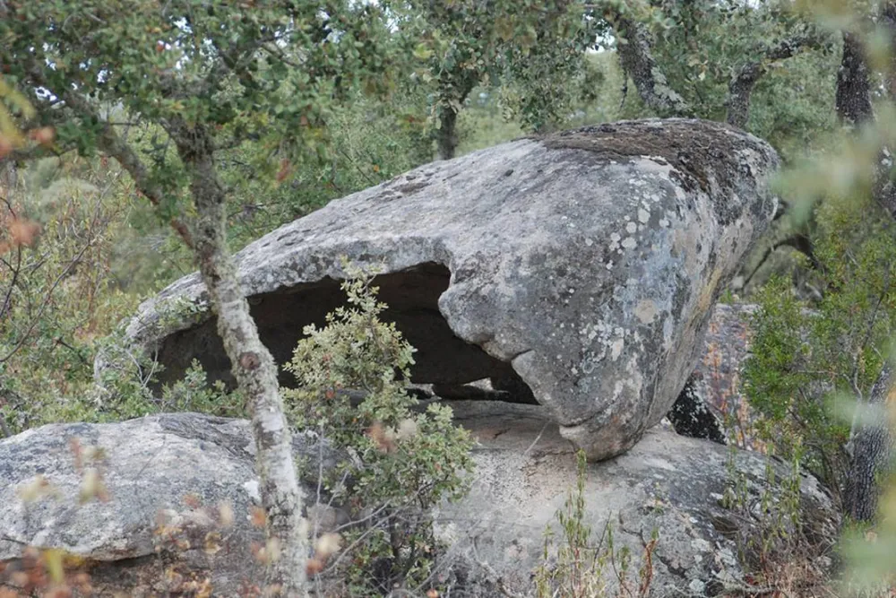 Bubulcus & Bolotas Camping