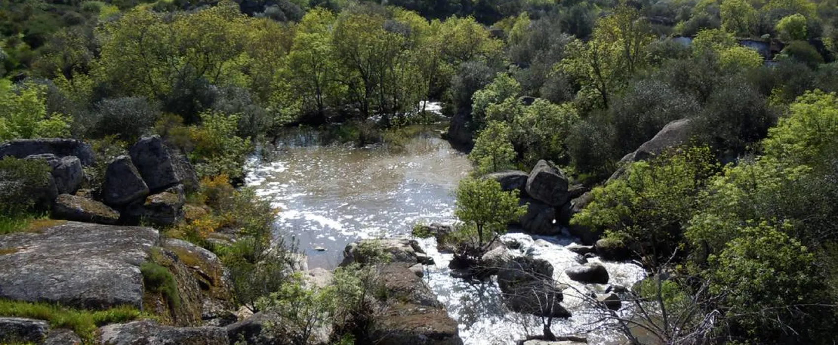 Bubulcus & Bolotas Camping