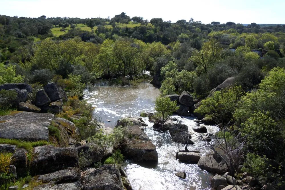 Bubulcus & Bolotas Camping