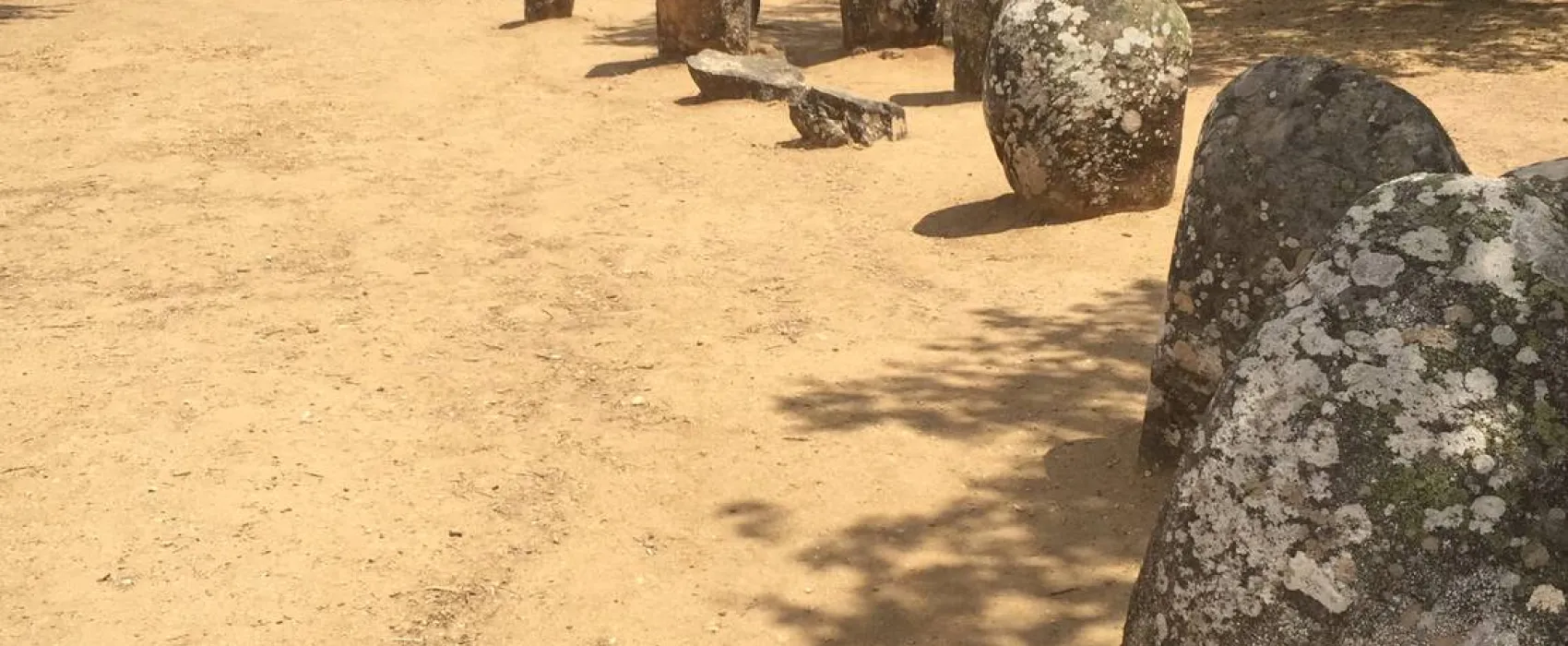 Bubulcus & Bolotas Camping