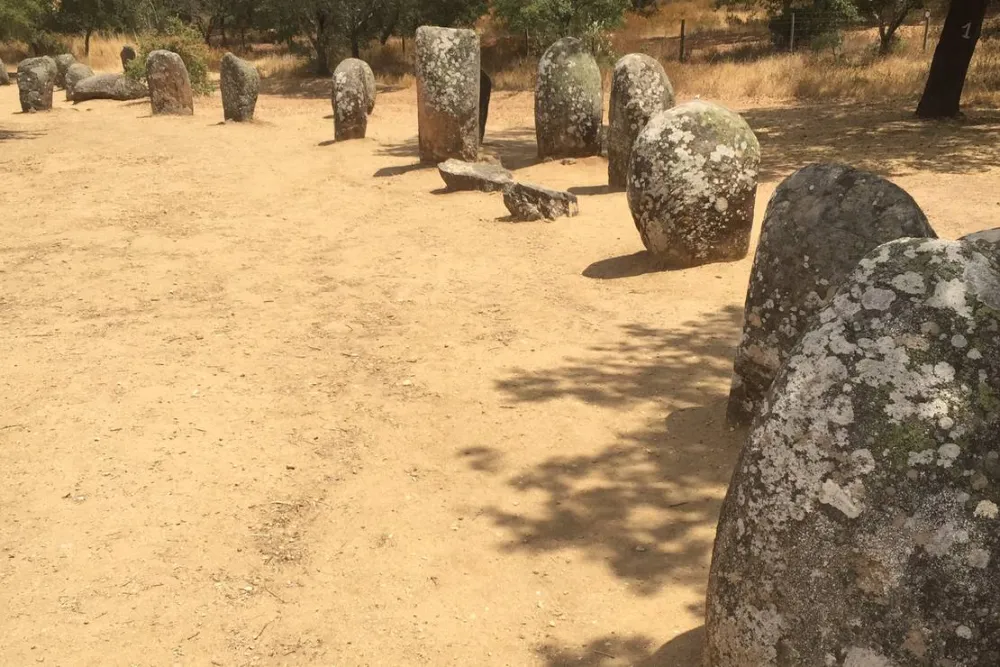 Bubulcus & Bolotas Camping