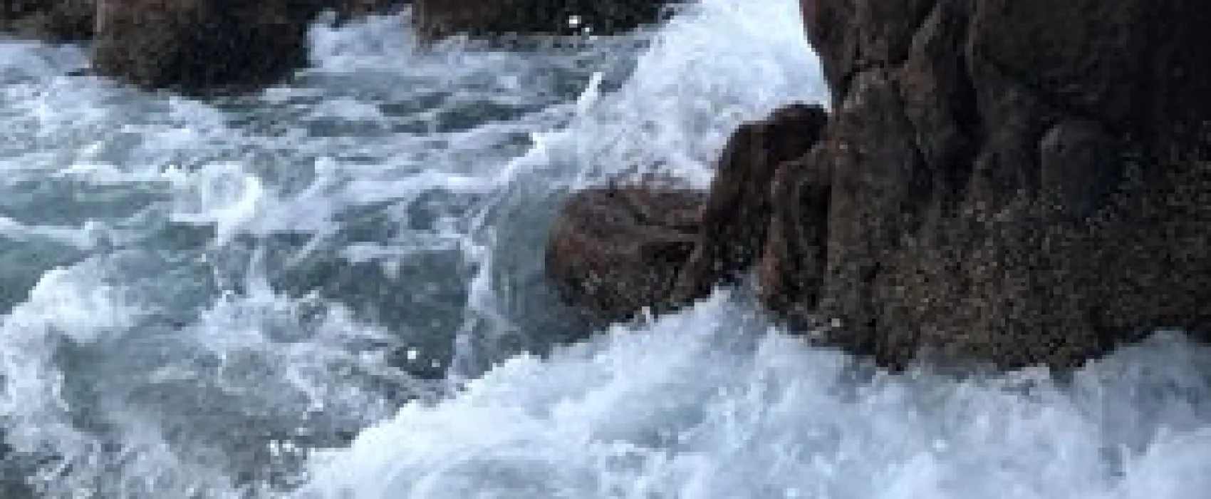 Bar Harbor Campground