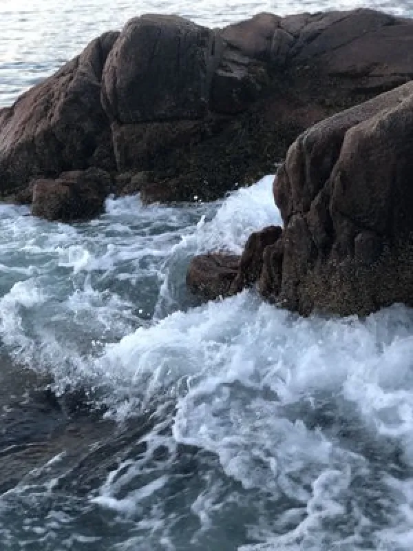 Bar Harbor Campground