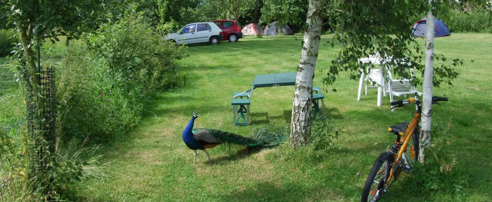 Camping à la ferme du Berger Du Val De Serre