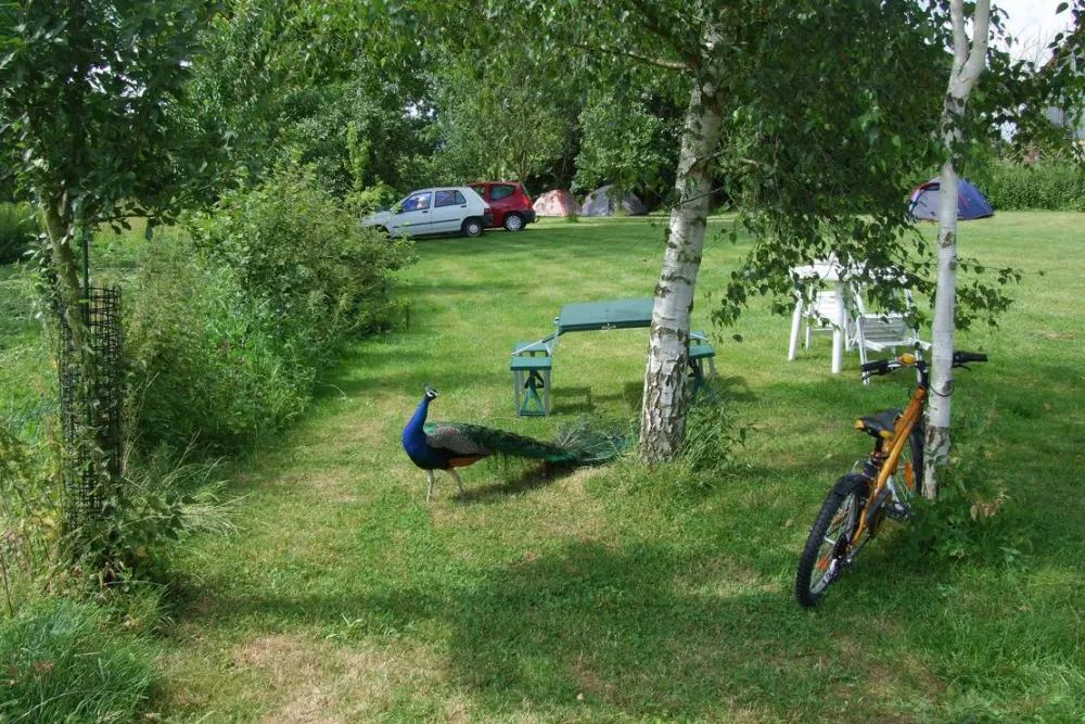 Camping à la ferme du Berger Du Val De Serre