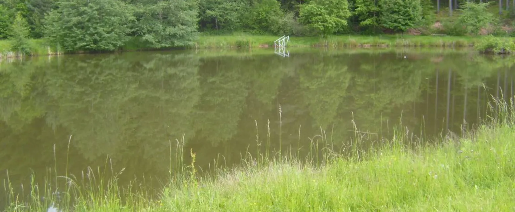 Waldcamping Hüttenhof