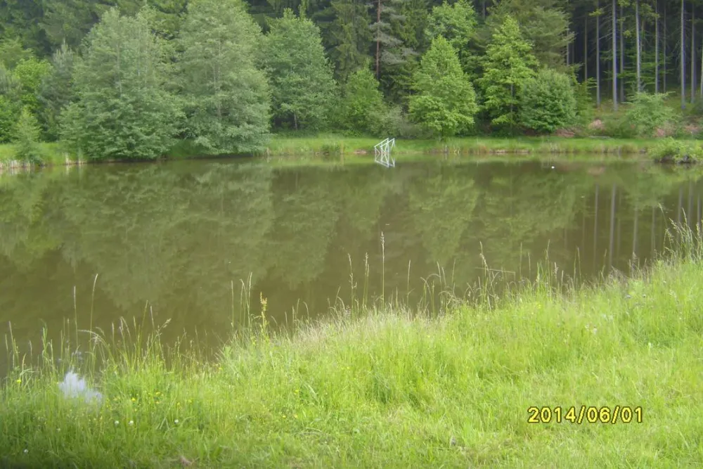 Waldcamping Hüttenhof