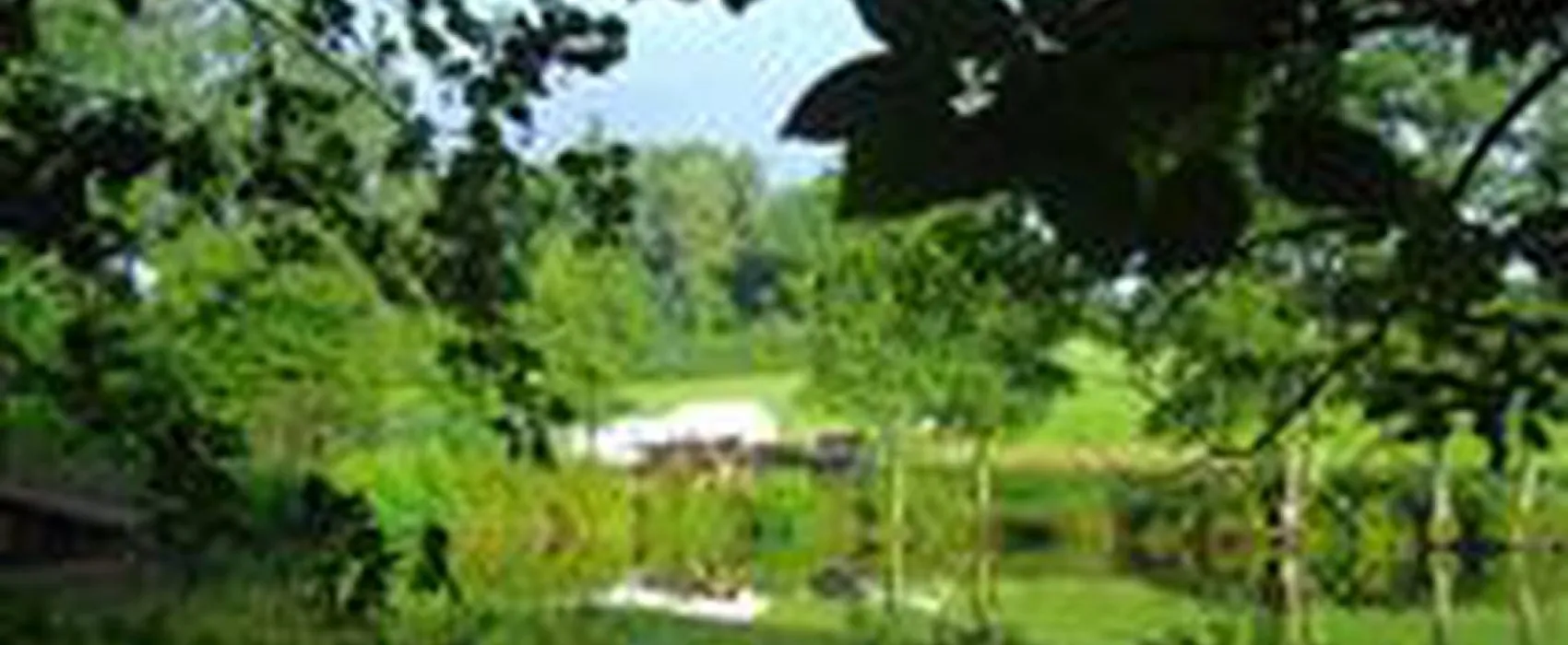 Waldcamping Hüttenhof