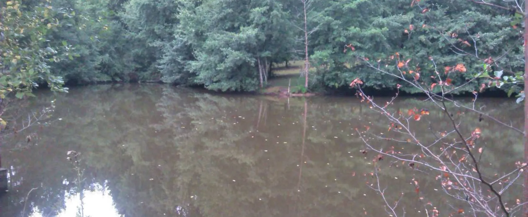 Waldcamping Hüttenhof