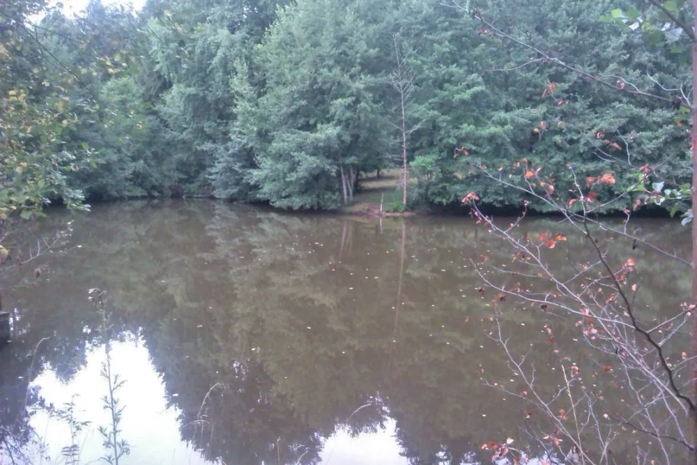 Waldcamping Hüttenhof