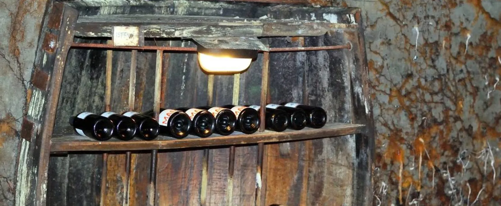 Camping Pivoteka Bileljsko