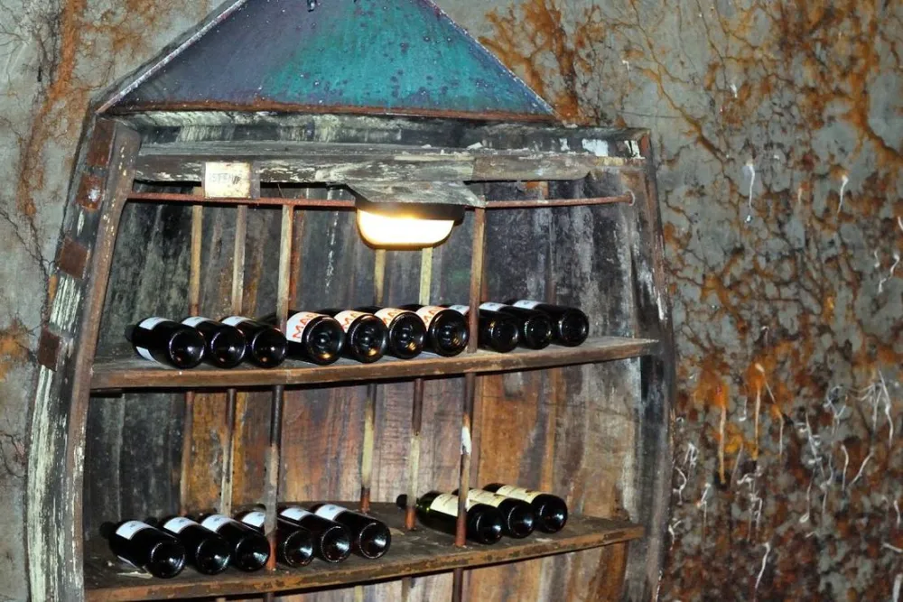 Camping Pivoteka Bileljsko