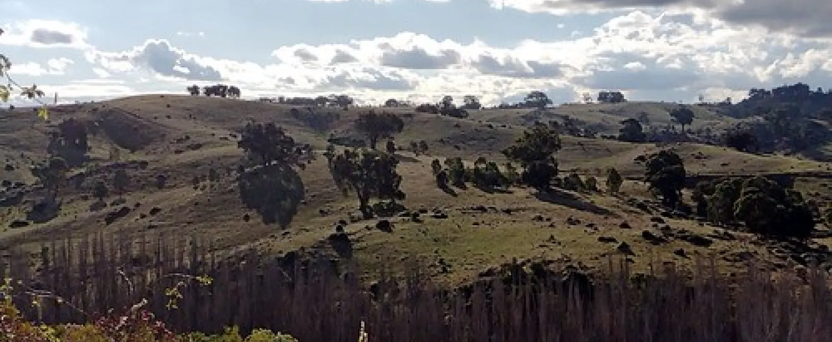 Vaughan Springs Campground