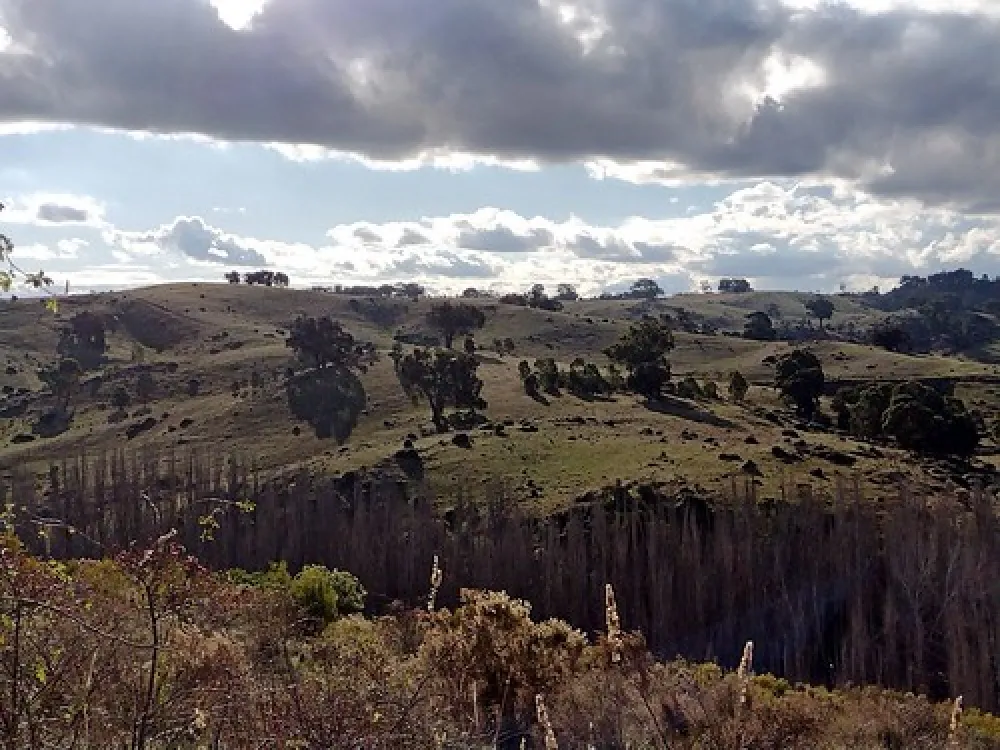 Vaughan Springs Campground
