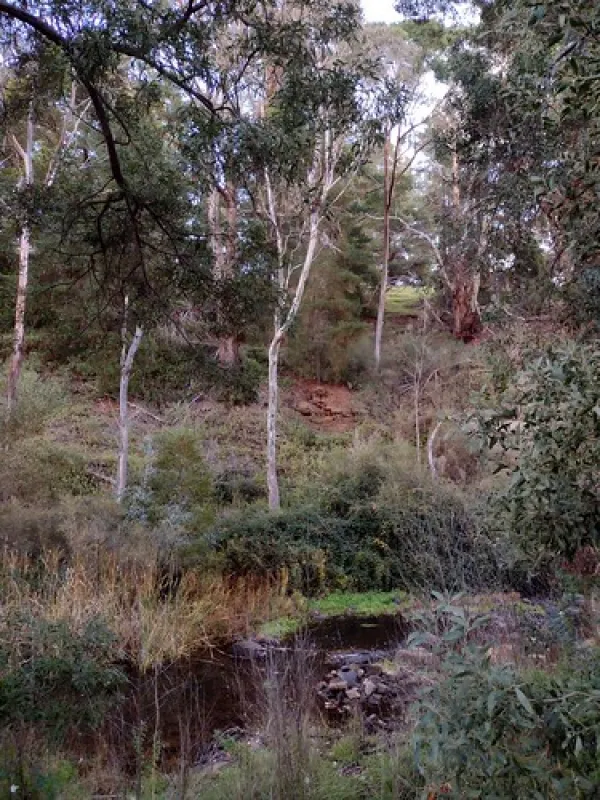 Vaughan Springs Campground