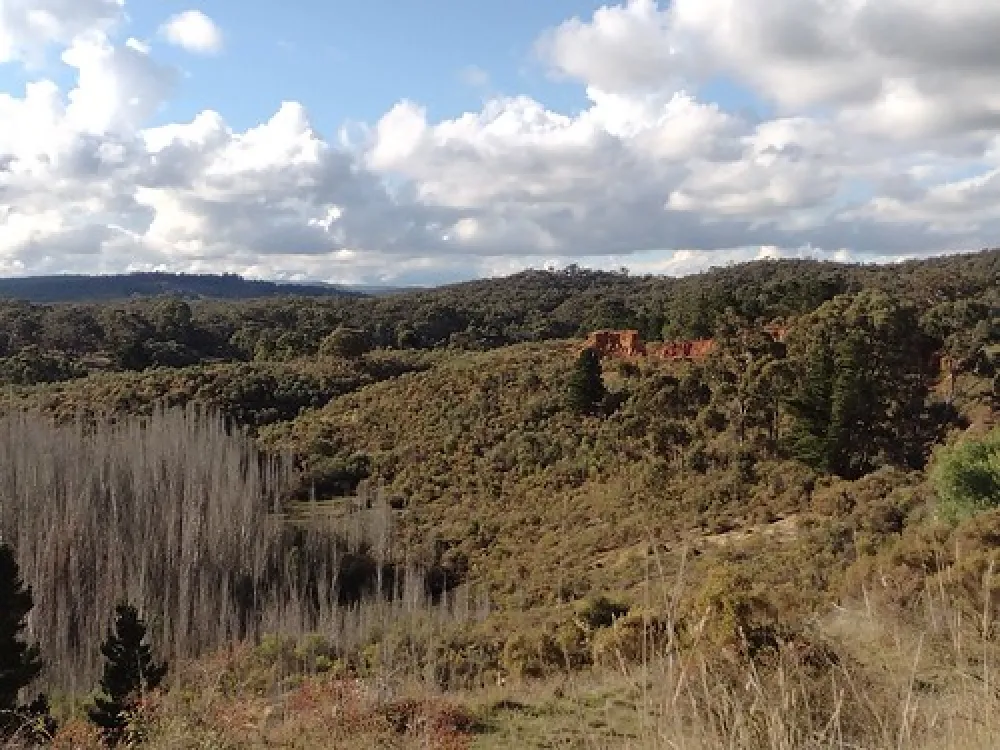 Vaughan Springs Campground