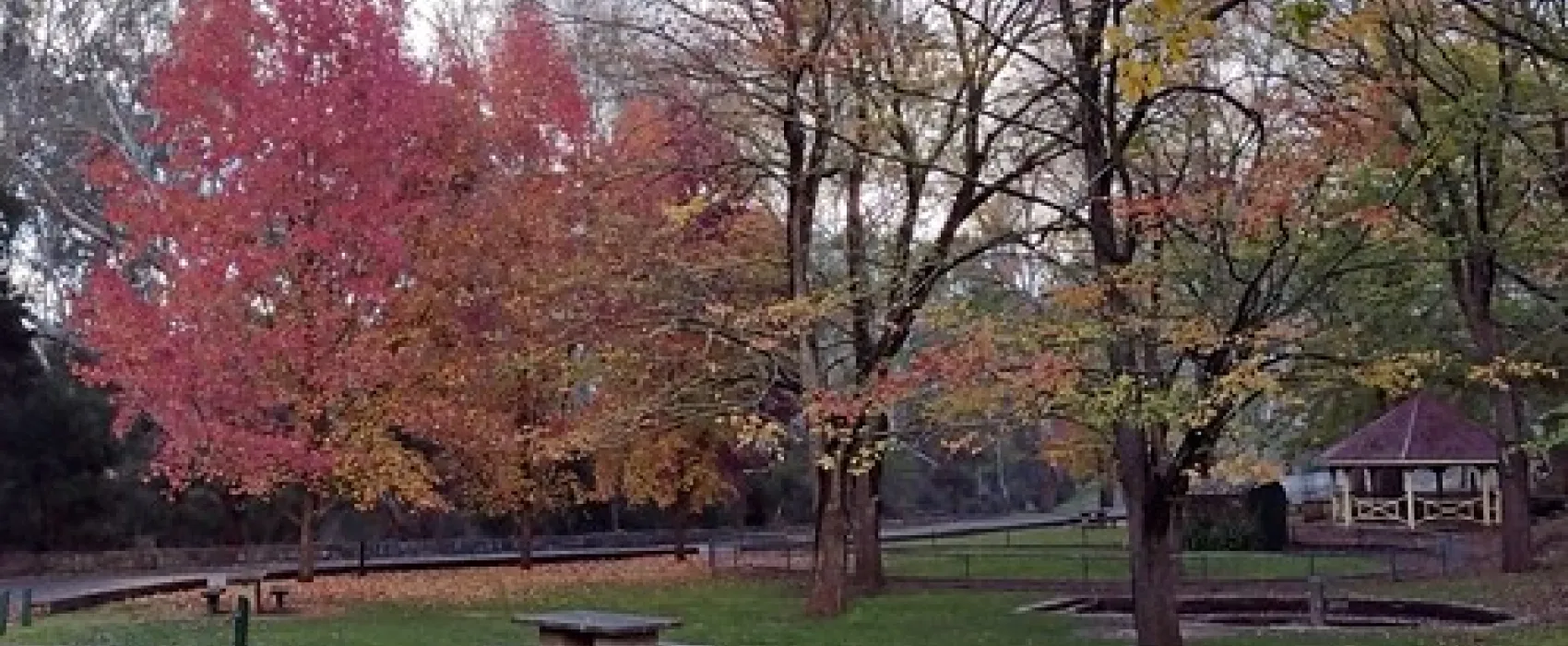 Vaughan Springs Campground