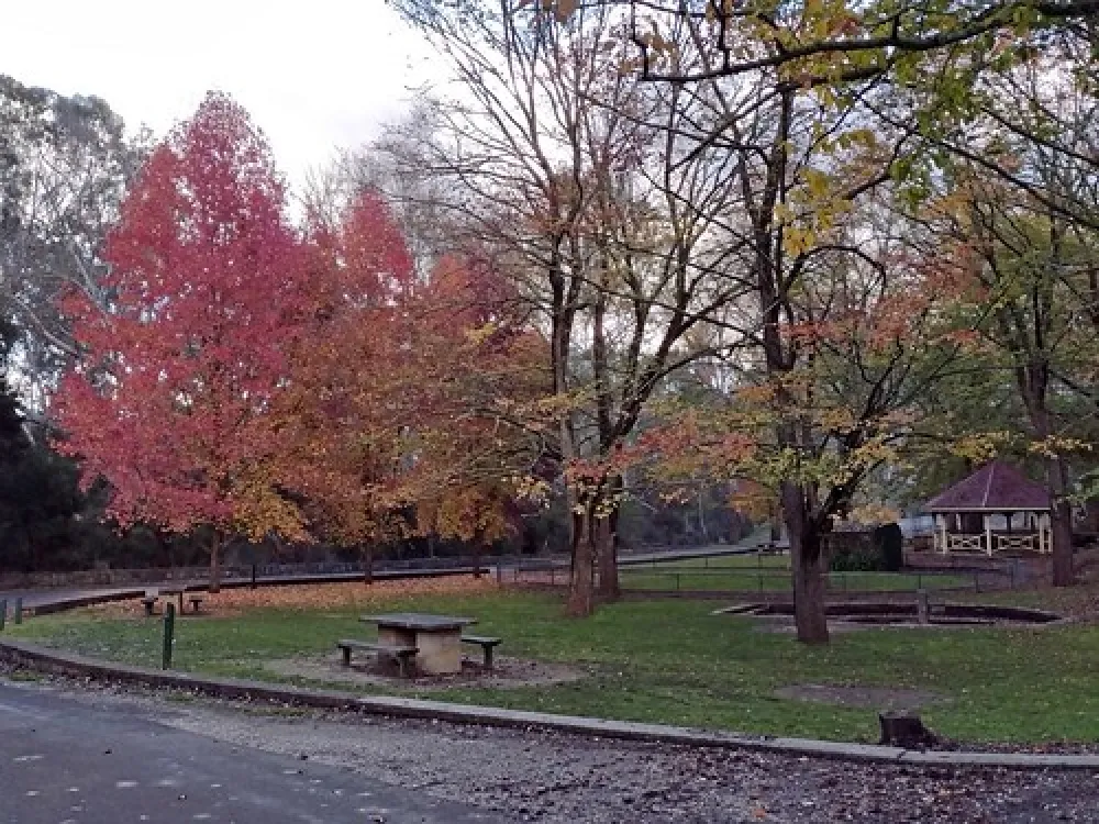 Vaughan Springs Campground