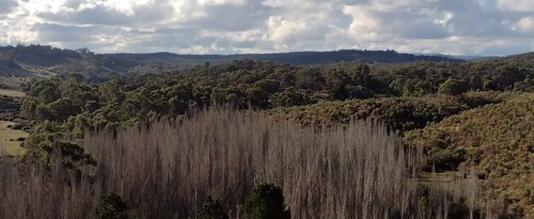 Vaughan Springs Campground