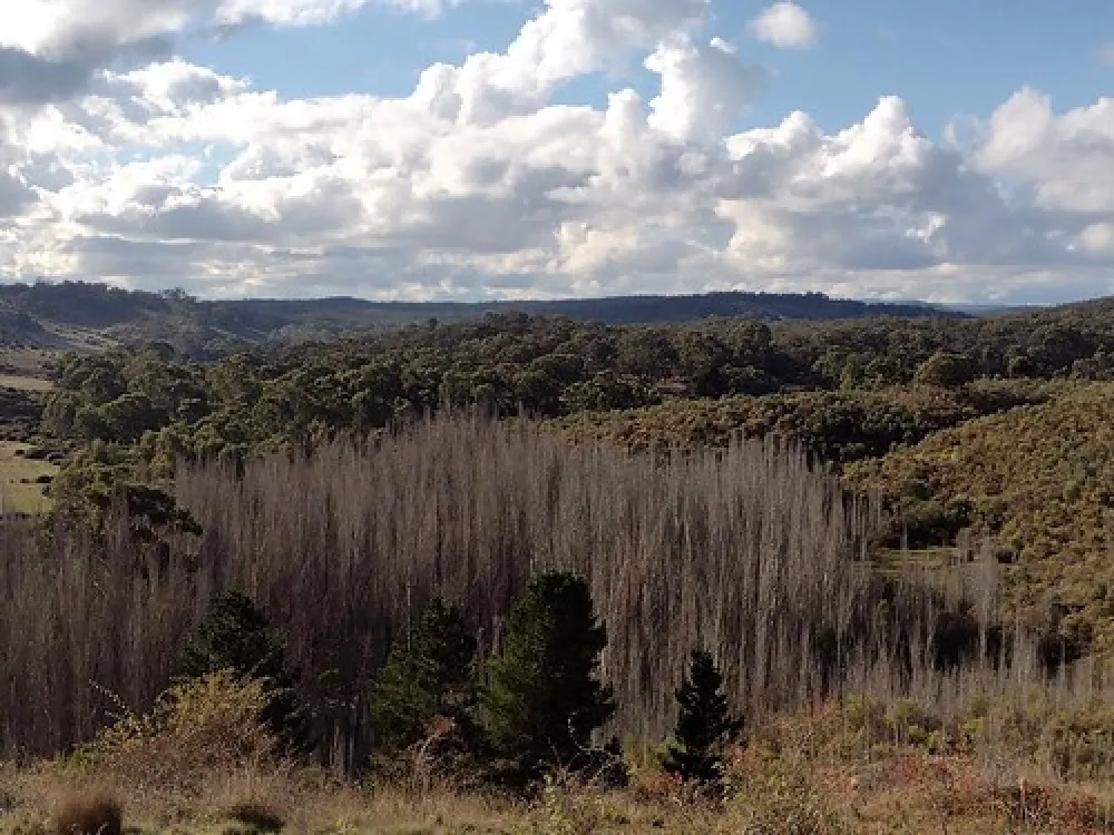 Vaughan Springs Campground