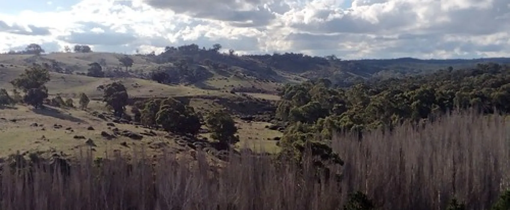 Vaughan Springs Campground