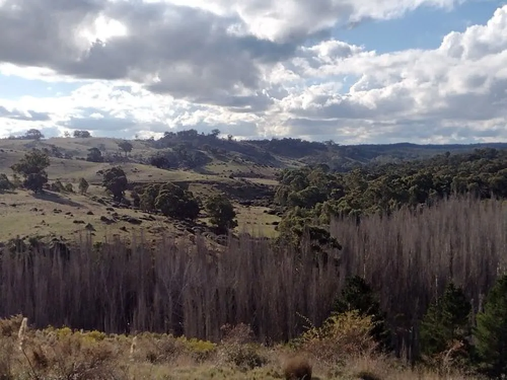 Vaughan Springs Campground