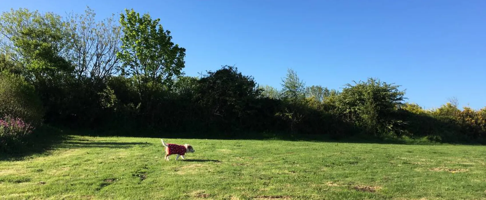 Penhalvean Pottery Campsite