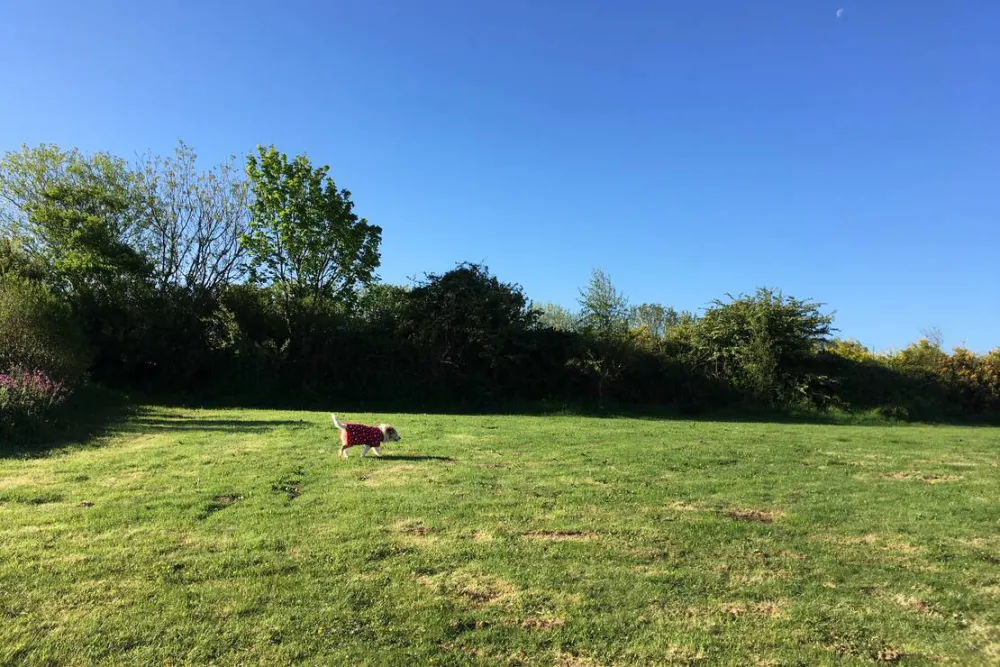 Penhalvean Pottery Campsite