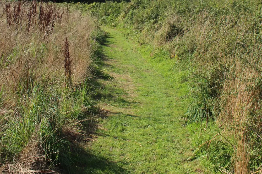 Penhalvean Pottery Campsite