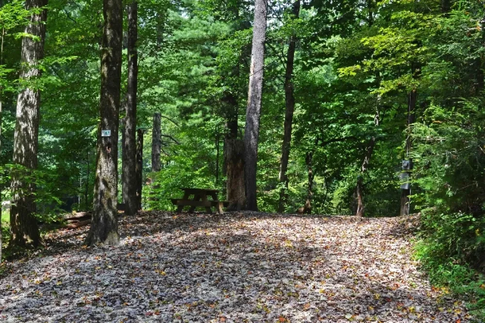 Orchard Lake Campground