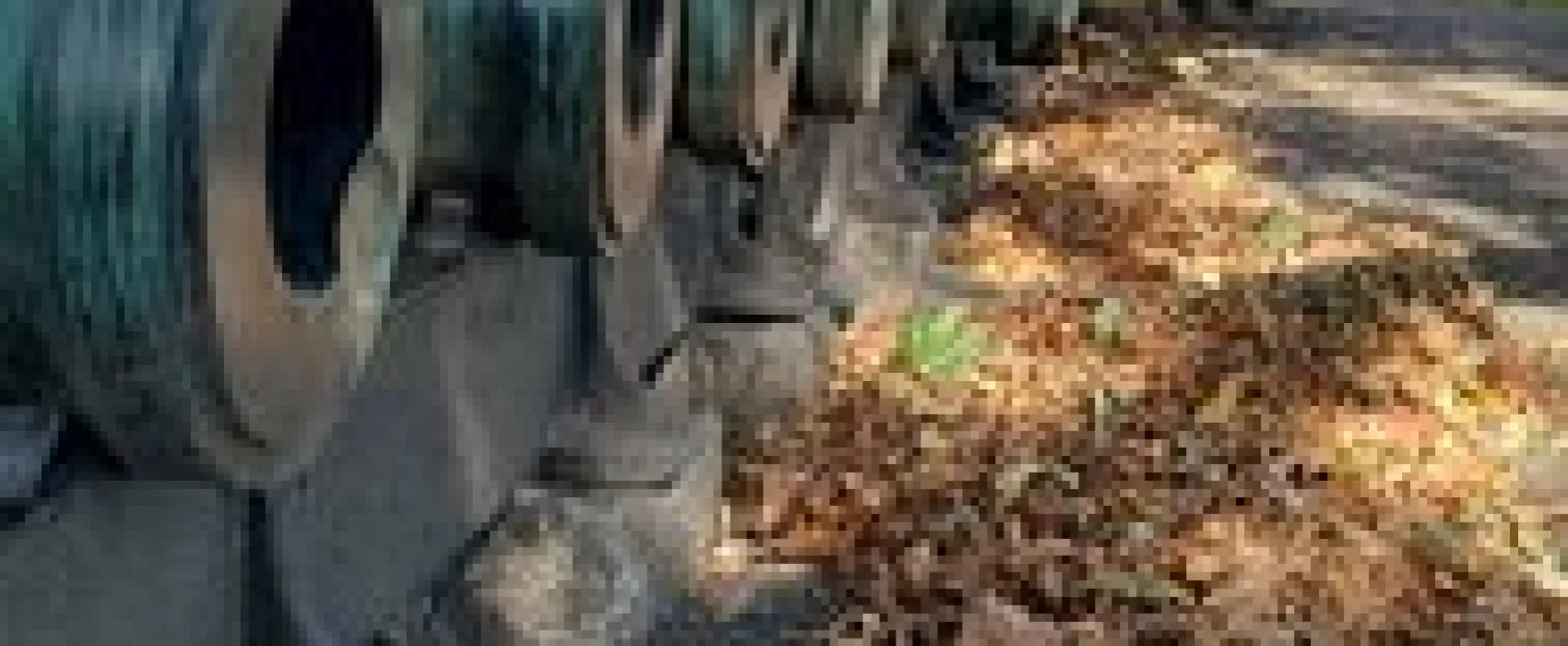 Round Pond Recreation Area