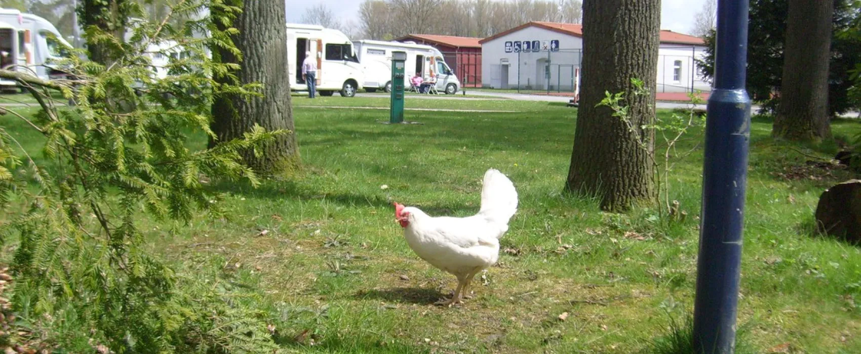 Campotel Bad Rothenfelde