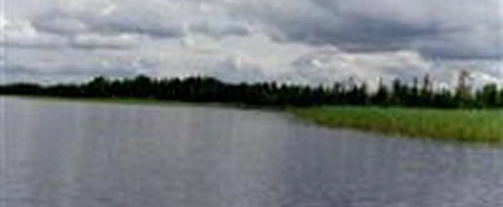 Vemhån Fiskecamping & Stugby