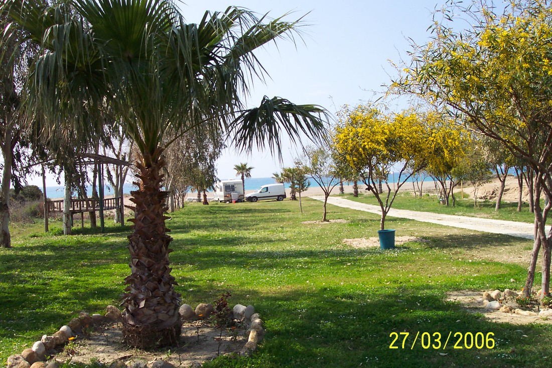 Osay photo 4