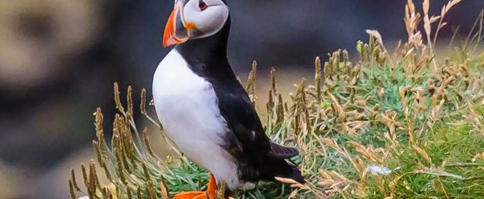 Flamborough Holiday Homes