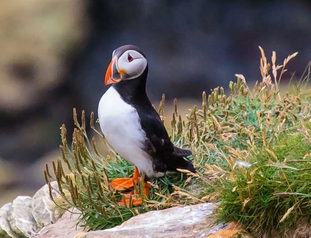 Flamborough Holiday Homes