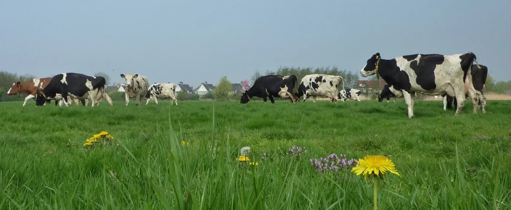 Boerencamping de Kei