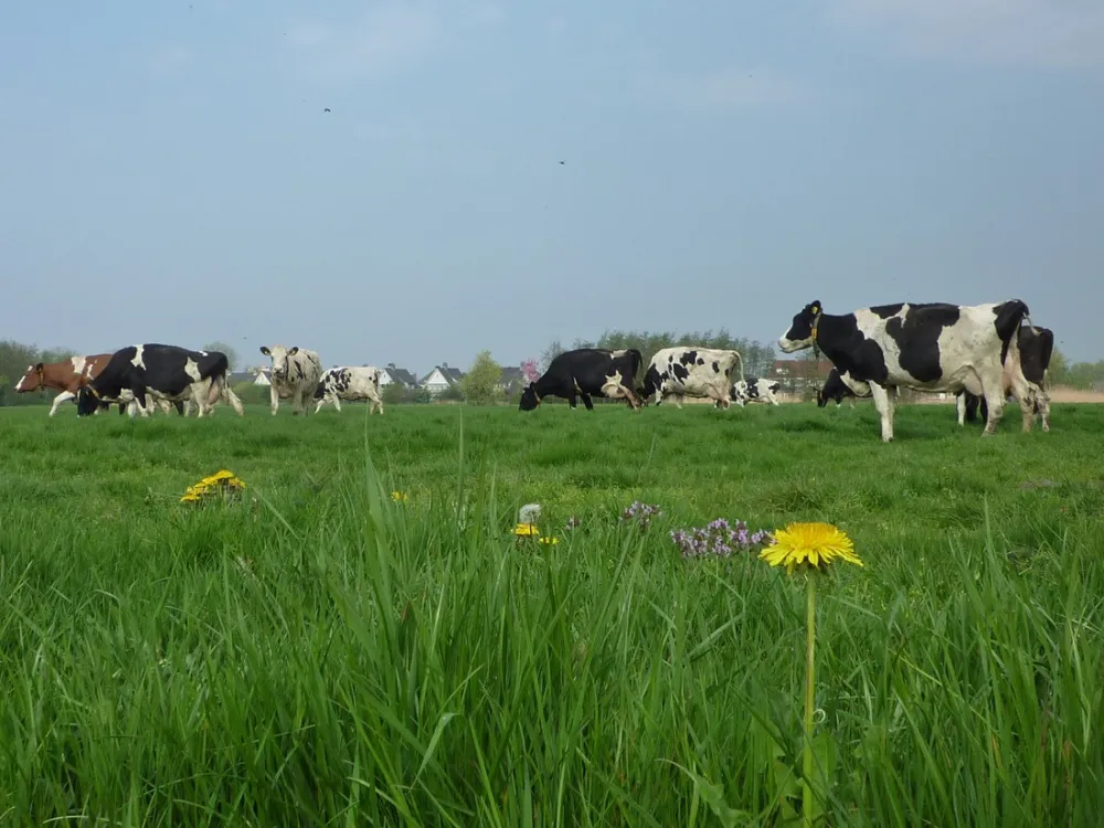 Boerencamping de Kei