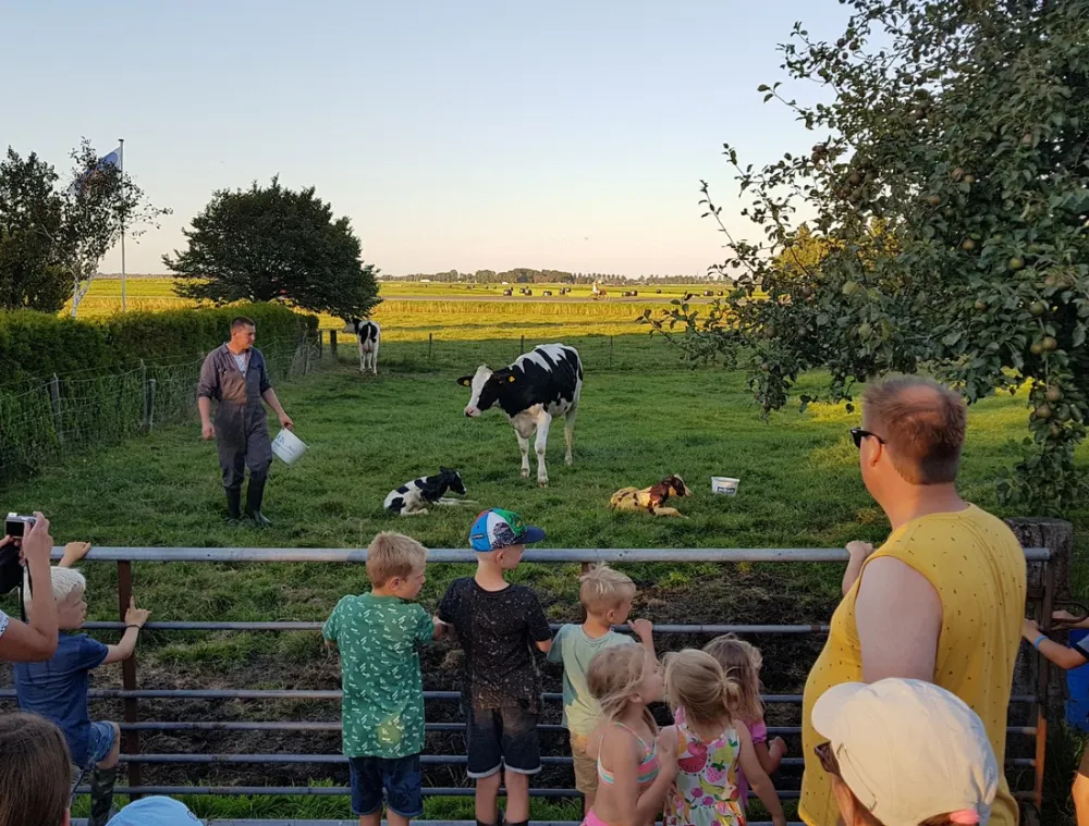 Boerencamping de Kei