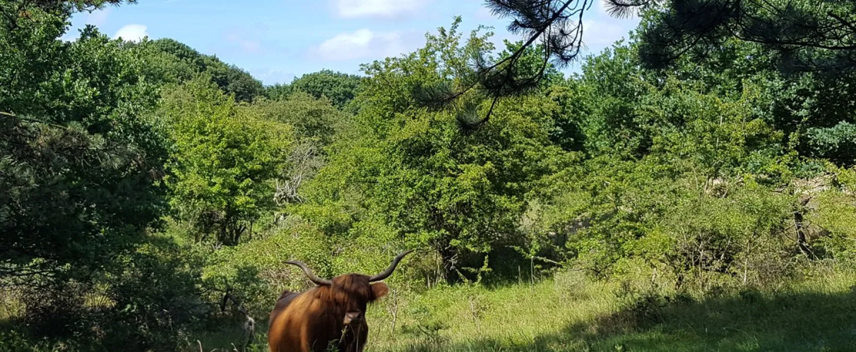 Boerencamping de Kei