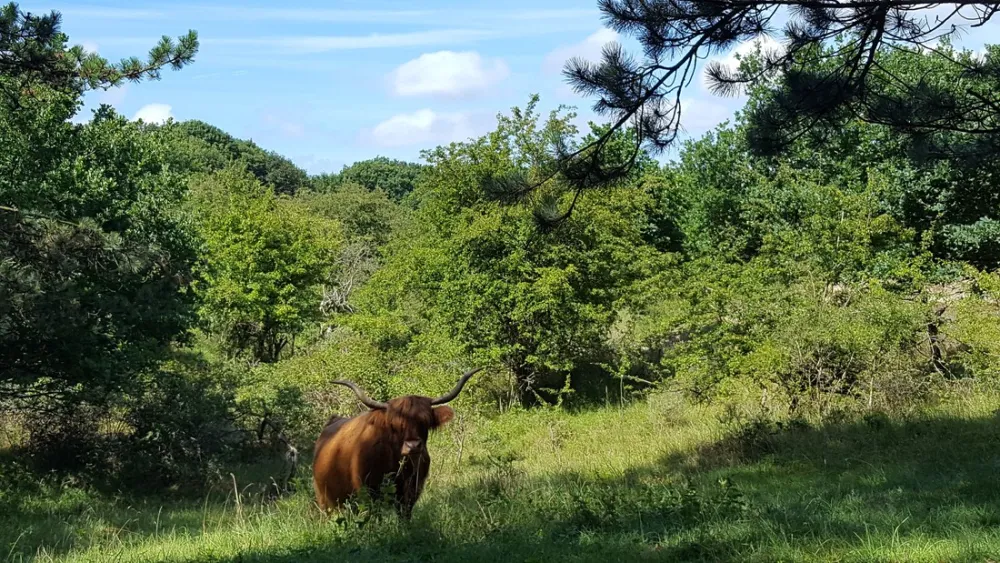 Boerencamping de Kei