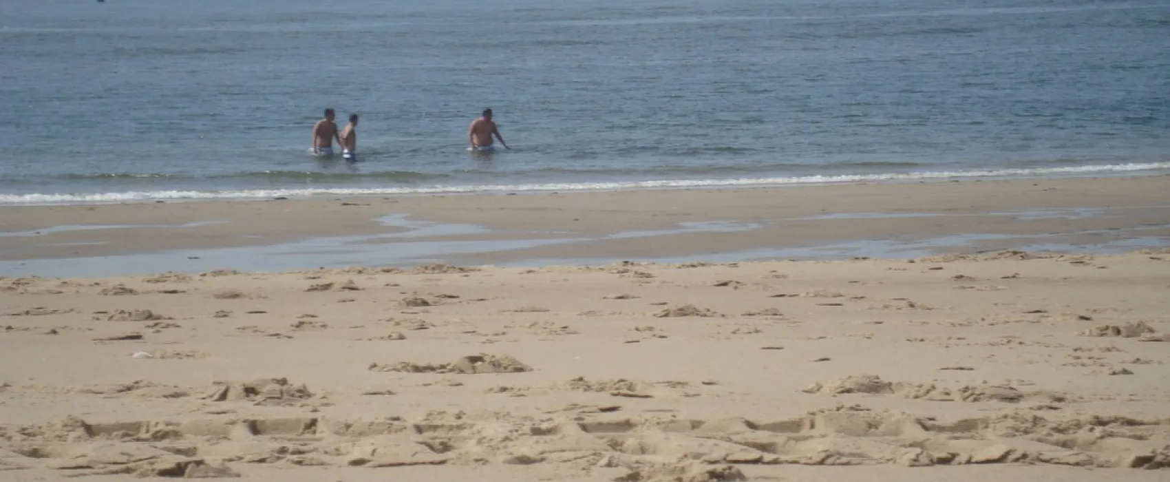 Kaasboerderij Pitteperk (+ Bed & Breakfast)