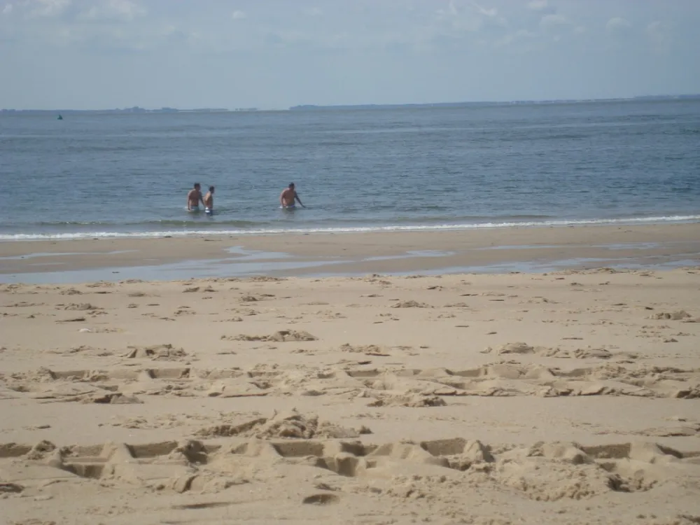 Kaasboerderij Pitteperk (+ Bed & Breakfast)