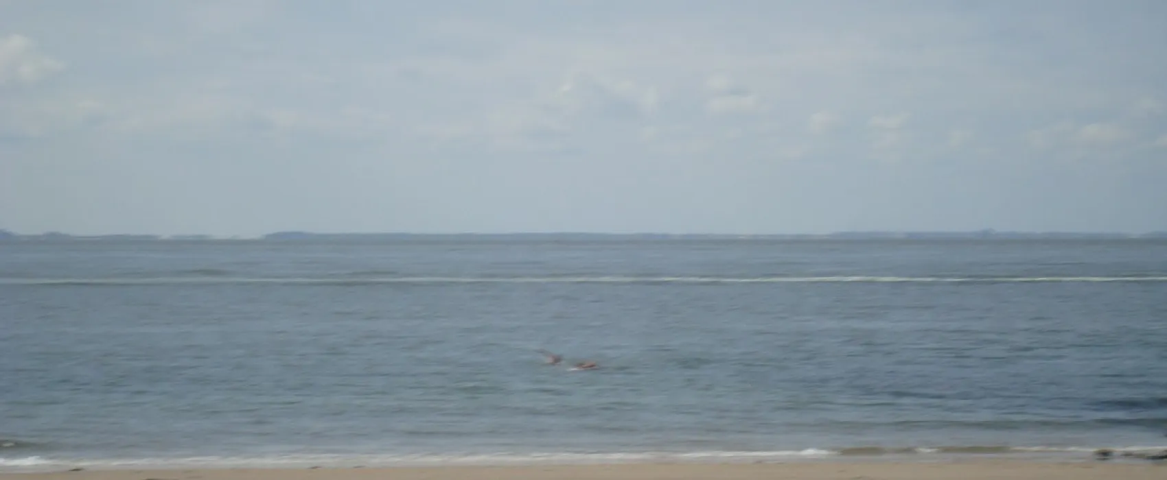 Kaasboerderij Pitteperk (+ Bed & Breakfast)